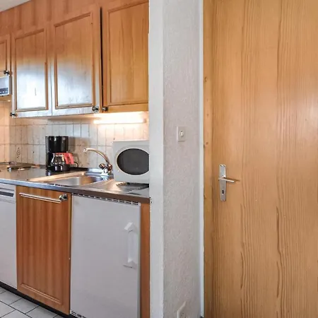 With Fireplace 09 公寓 *